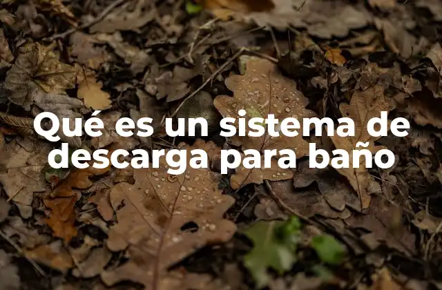 Qué es un Sistema de Descarga para Baño