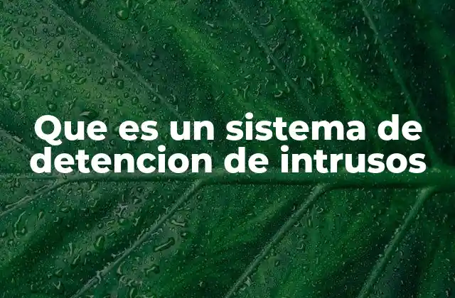 Que es un Sistema de Detencion de Intrusos 2 La importancia de la vigilancia en redes informáticas