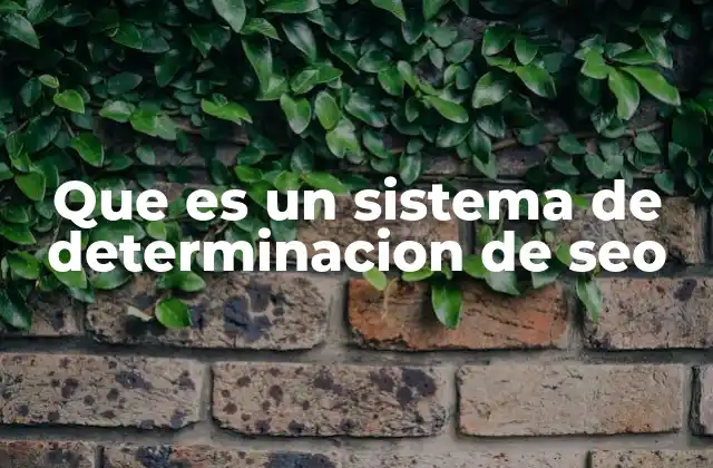 Que es un Sistema de Determinacion de Seo 2 Cómo funcionan los sistemas de determinación de SEO