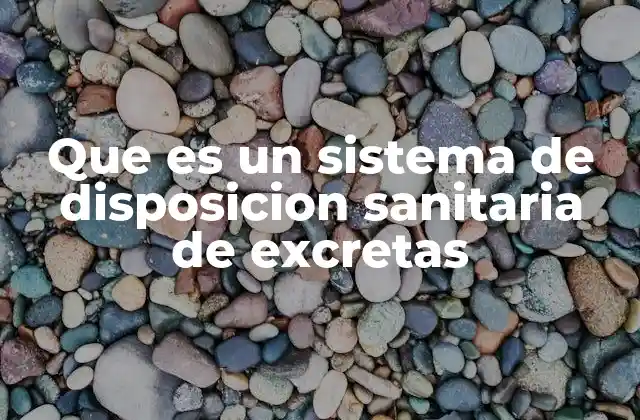 Que es un Sistema de Disposicion Sanitaria de Excretas