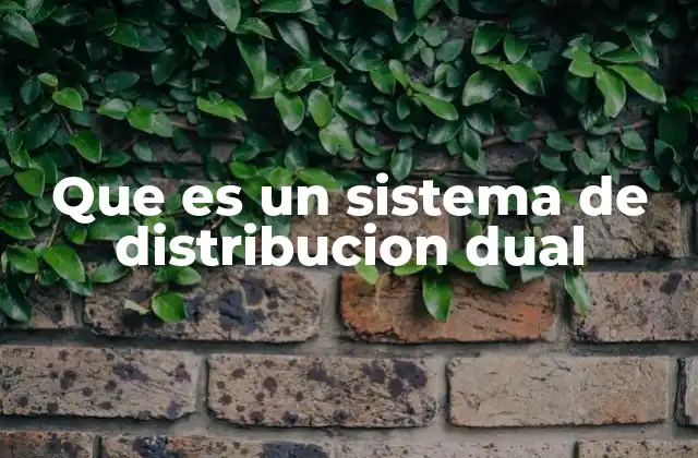 Que es un Sistema de Distribucion Dual