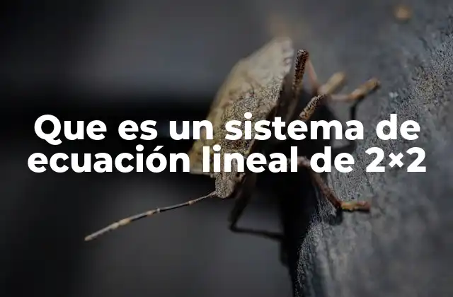 Que es un Sistema de Ecuación Lineal de 2×2