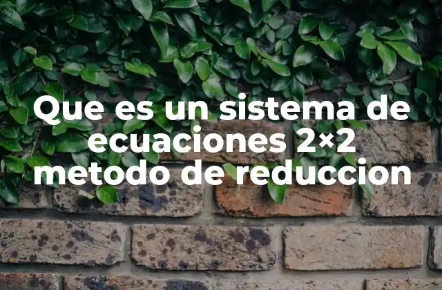 Que es un Sistema de Ecuaciones 2×2 Metodo de Reduccion