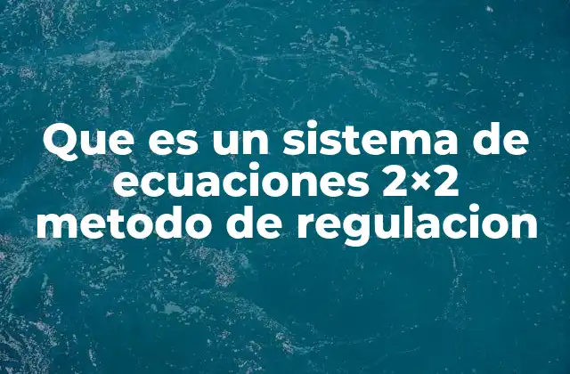 Que es un Sistema de Ecuaciones 2×2 Metodo de Regulacion