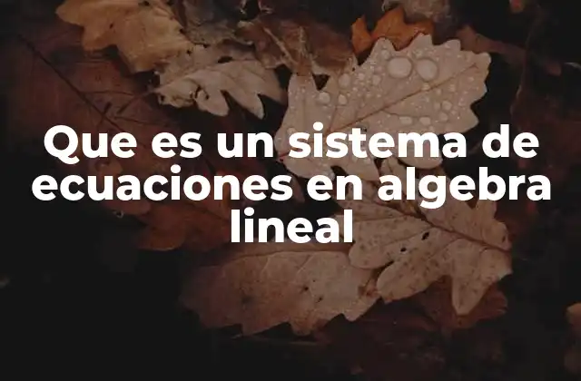 Que es un Sistema de Ecuaciones en Algebra Lineal