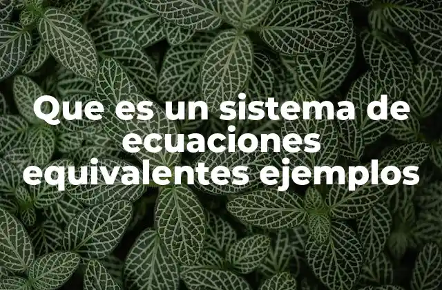 Que es un Sistema de Ecuaciones Equivalentes Ejemplos