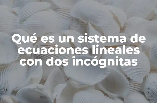 Qué es un Sistema de Ecuaciones Lineales con Dos Incógnitas