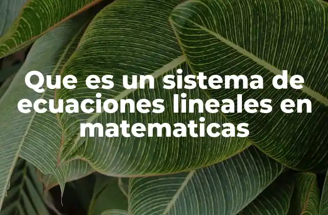 Que es un Sistema de Ecuaciones Lineales en Matematicas