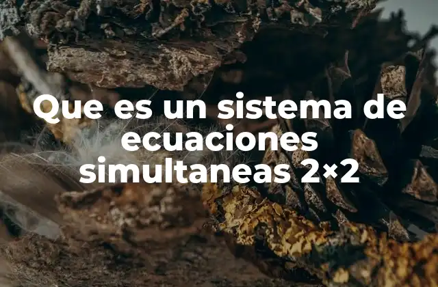 Que es un Sistema de Ecuaciones Simultaneas 2×2