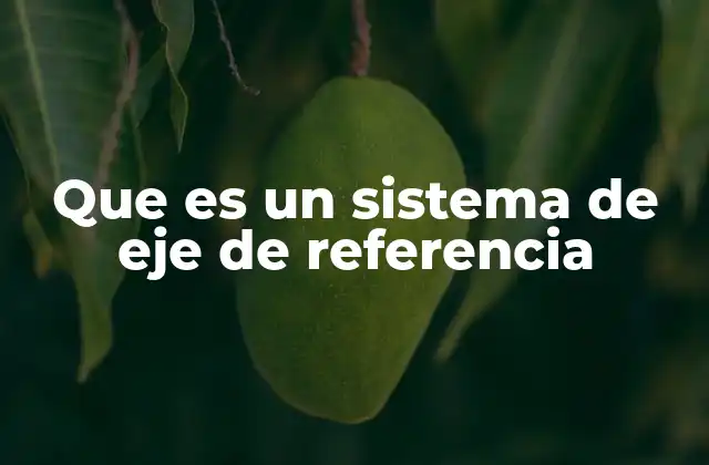 Que es un Sistema de Eje de Referencia