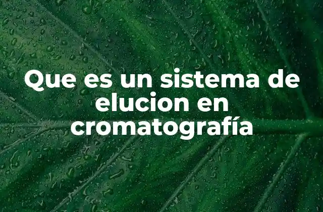 Que es un Sistema de Elucion en Cromatografía