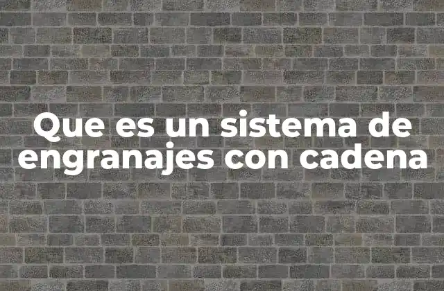 Que es un Sistema de Engranajes con Cadena