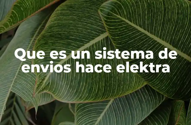 Que es un Sistema de Envios Hace Elektra 2 Cómo Elektra optimiza la entrega de productos
