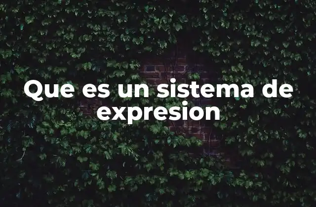 La importancia de los sistemas de expresión en la sociedad