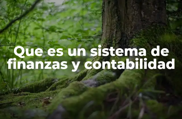 Que es un Sistema de Finanzas y Contabilidad