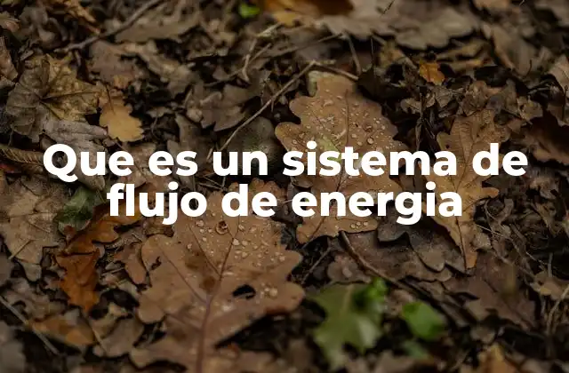 Que es un Sistema de Flujo de Energia