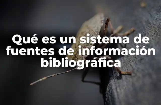Qué es un Sistema de Fuentes de Información Bibliográfica