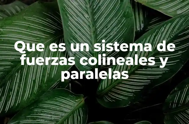 Que es un Sistema de Fuerzas Colineales y Paralelas