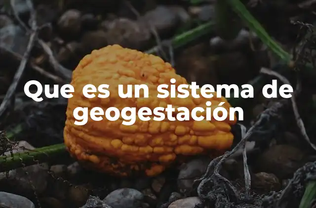 Que es un Sistema de Geogestación