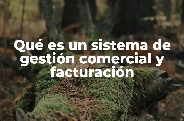 Qué es un Sistema de Gestión Comercial y Facturación