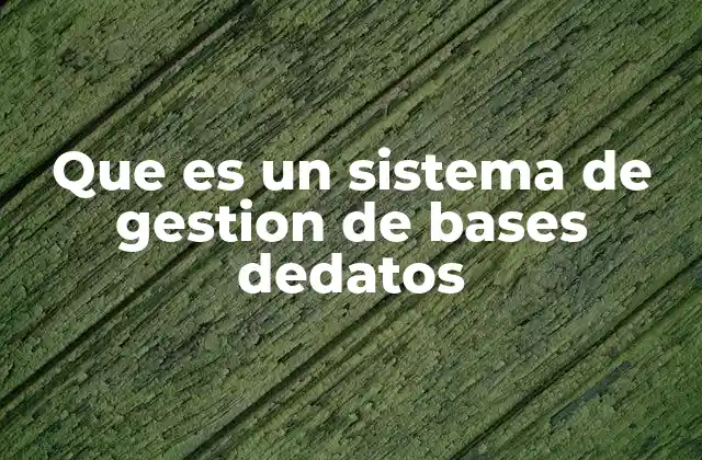 La importancia de los sistemas de gestión de bases de datos en la era digital