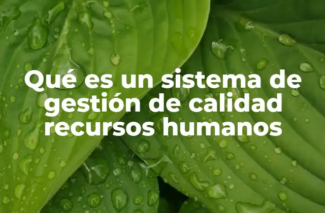 Qué es un Sistema de Gestión de Calidad Recursos Humanos