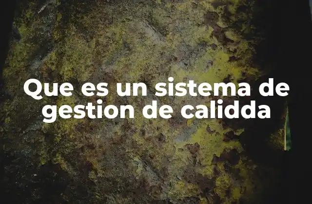 Que es un Sistema de Gestion de Calidda