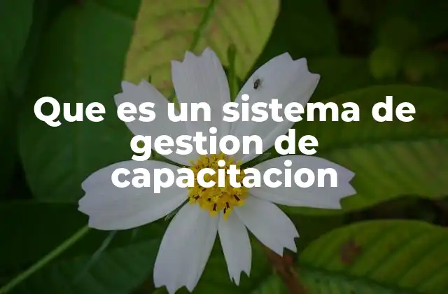 Que es un Sistema de Gestion de Capacitacion