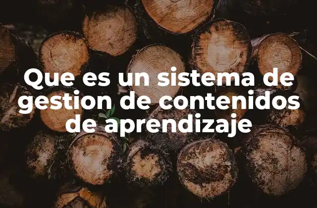 Que es un Sistema de Gestion de Contenidos de Aprendizaje