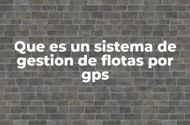 Que es un Sistema de Gestion de Flotas por Gps
