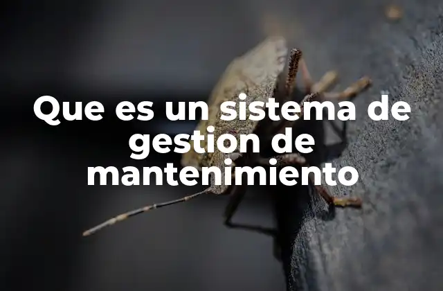 Que es un Sistema de Gestion de Mantenimiento