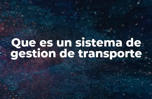 Que es un Sistema de Gestion de Transporte