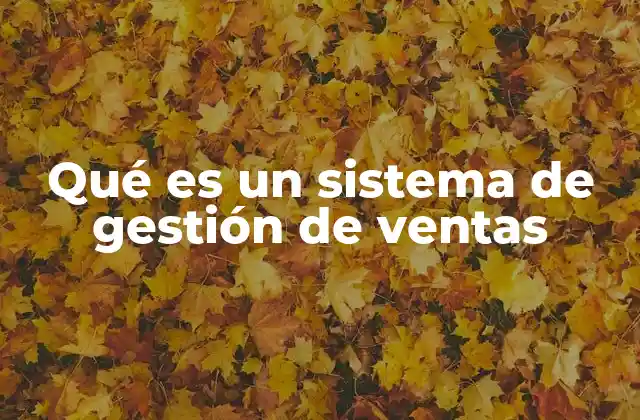 Qué es un Sistema de Gestión de Ventas