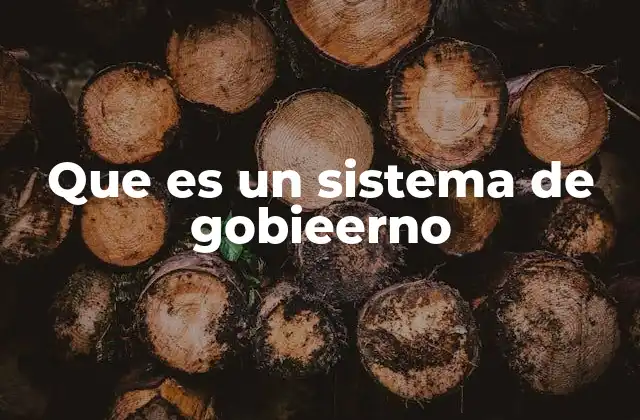 Que es un Sistema de Gobieerno