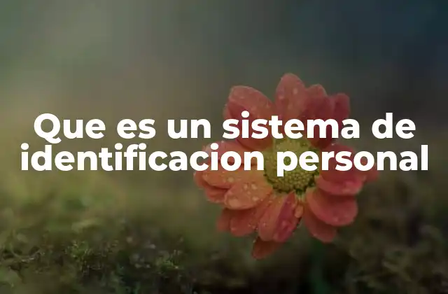 Que es un Sistema de Identificacion Personal 2 La importancia de tener un sistema confiable de identidad