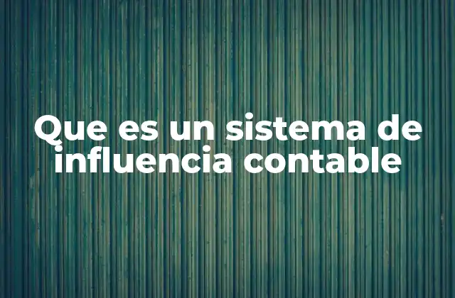 Que es un Sistema de Influencia Contable 2 Factores que conforman un sistema de influencia contable