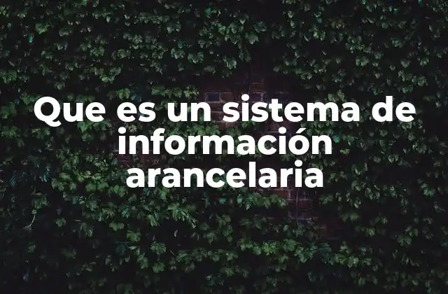 Que es un Sistema de Información Arancelaria