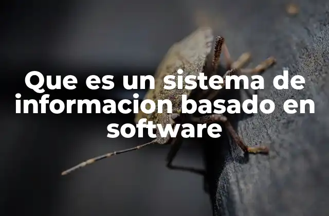 La importancia de los sistemas de información en la digitalización empresarial