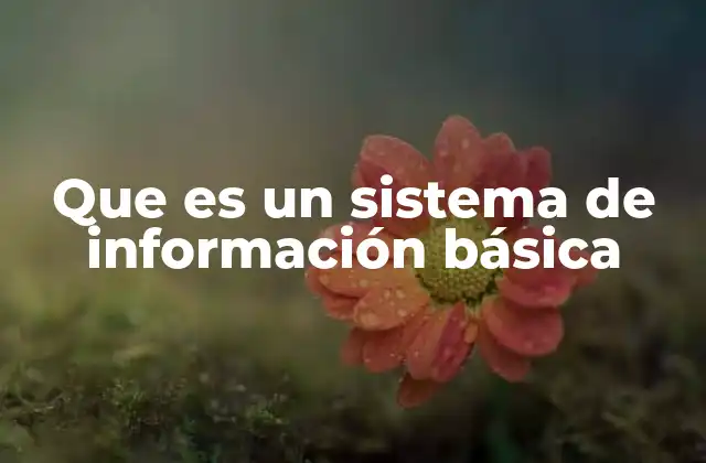Que es un Sistema de Información Básica