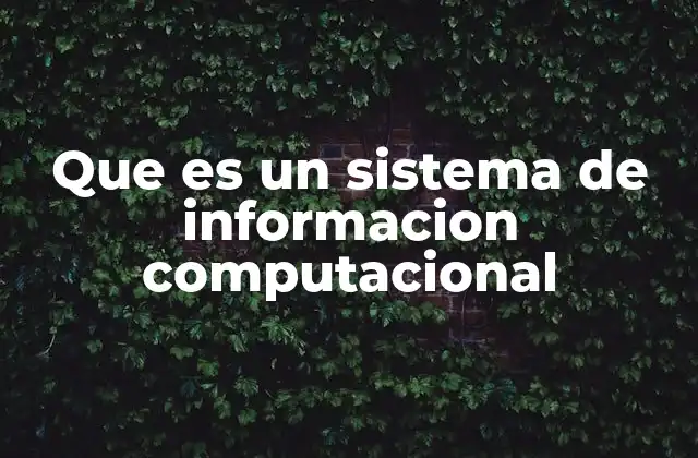 Que es un Sistema de Informacion Computacional