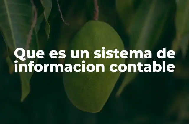 Que es un Sistema de Informacion Contable