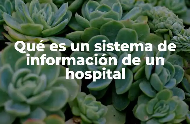 Qué es un Sistema de Información de un Hospital