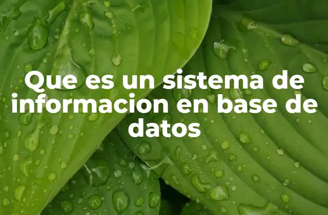 Que es un Sistema de Informacion en Base de Datos