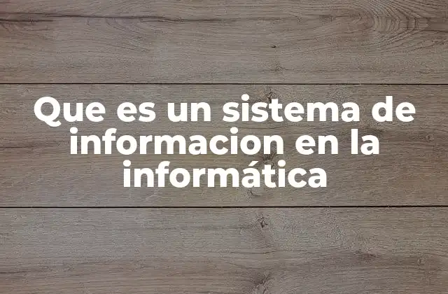 Que es un Sistema de Informacion en la Informática