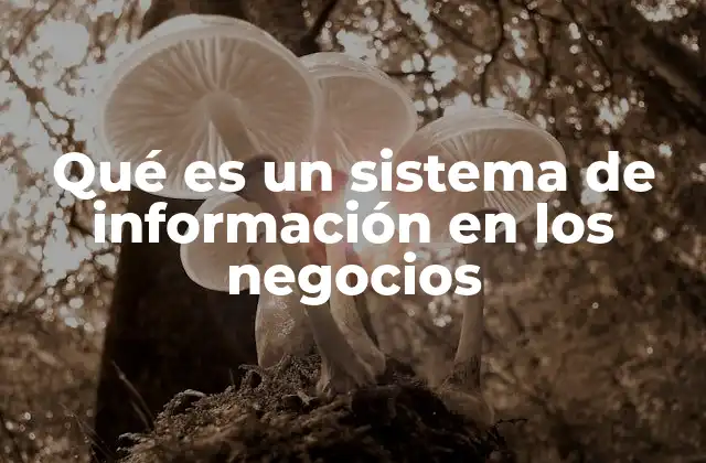 Qué es un Sistema de Información en los Negocios
