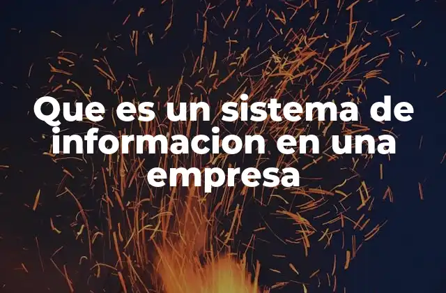 Que es un Sistema de Informacion en una Empresa