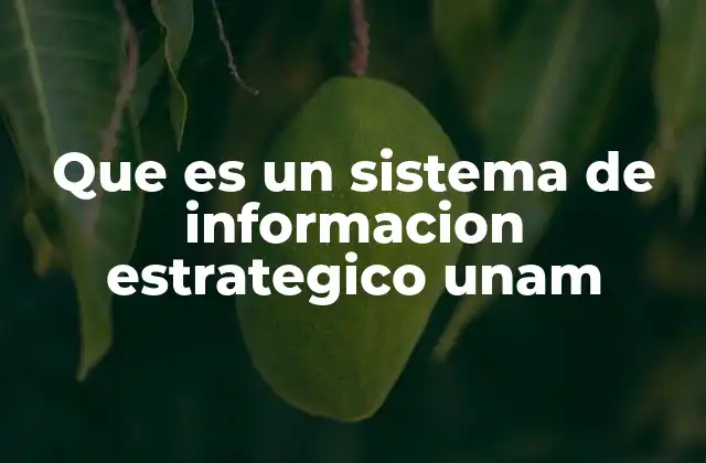 Que es un Sistema de Informacion Estrategico Unam