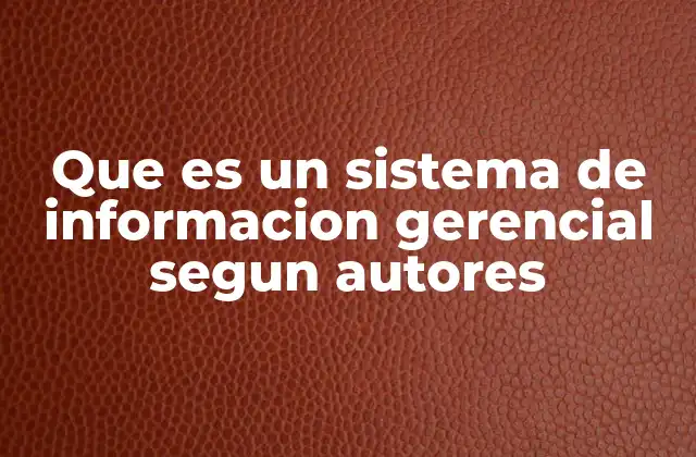 Que es un Sistema de Informacion Gerencial Segun Autores