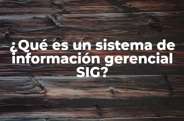 ¿qué es un Sistema de Información Gerencial Sig?