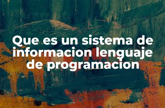 Que es un Sistema de Informacion Lenguaje de Programacion